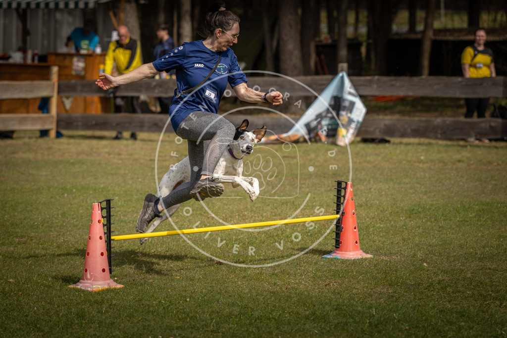 Pfotenfotografie_DV3A9503 | Hundefotografie, Tierfotograf, Pfotenfotografie, Fotoshooting Hund, Hunde Portrait, Hundesport, Hundeportraits, Heideshooting, Hunde, Sportfotograf, Hundefotograf, Turnierhundsport, THS,  - Realisiert mit Pictrs.com