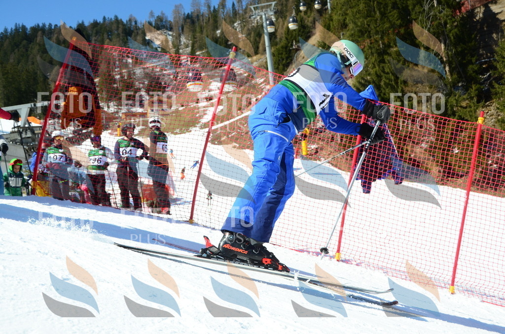 C6504 | holidayphoto