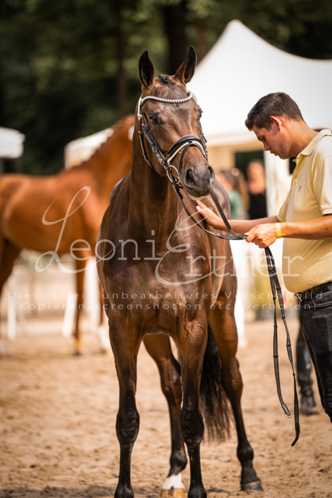 7.Fr00098 | Leoni Ertmer Photography - Realisiert mit Pictrs.com