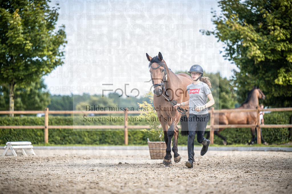 DOS_1697 | Entdecke hochwertige Reitturnierfotos von Foto Oger. Professionell, emotional und authentisch – jetzt Lieblingsmomente im Shop bestellen.Deutschlandweite Turnierfotografie. - Realisiert mit Pictrs.com