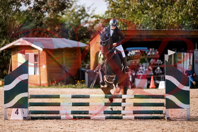 2026_10_03_Siefer-Hof_154324_Z81_61330199 | Professionelle Reitsport-, Turnier- und Eventfotografie von Robert Broda. Galerien mit ausgewählten und bearbeiteten Bildern direkt online ansehen und bestellen.
