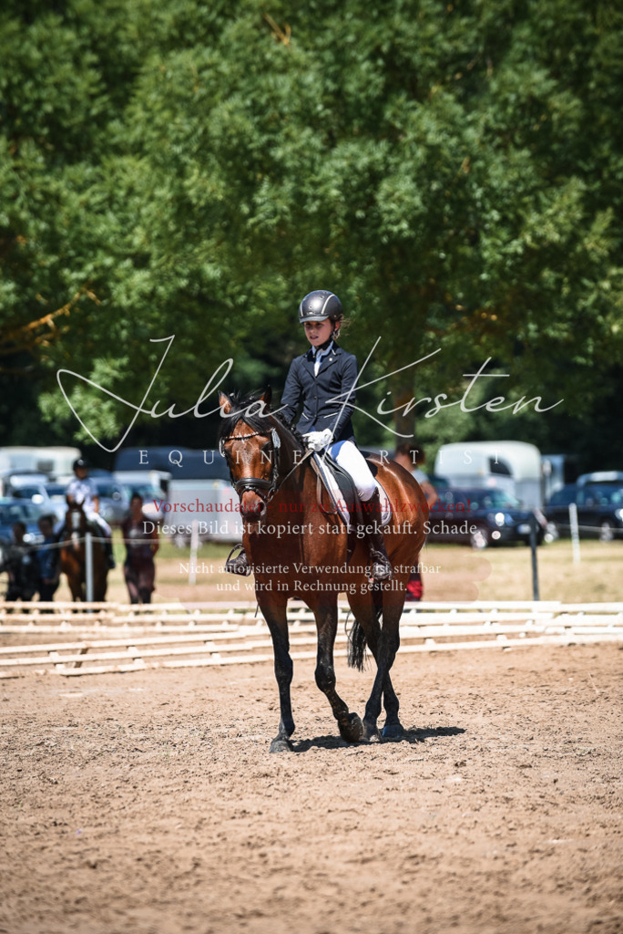 DSC_2880 | Pferde- und Turnierfotografie in Westsachsen. Pferdeportraits, Auftragszeichnungen und intuitive Kunst.