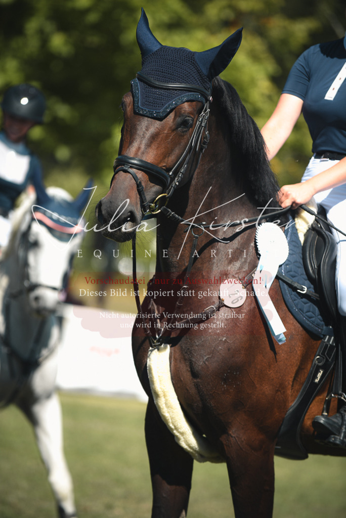 DSC_7322 | Pferde- und Turnierfotografie in Westsachsen. Pferdeportraits, Auftragszeichnungen und intuitive Kunst.