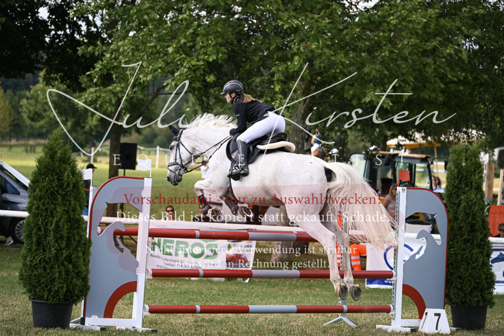 DSC_0982 | Pferde- und Turnierfotografie in Westsachsen. Pferdeportraits, Auftragszeichnungen und intuitive Kunst.
