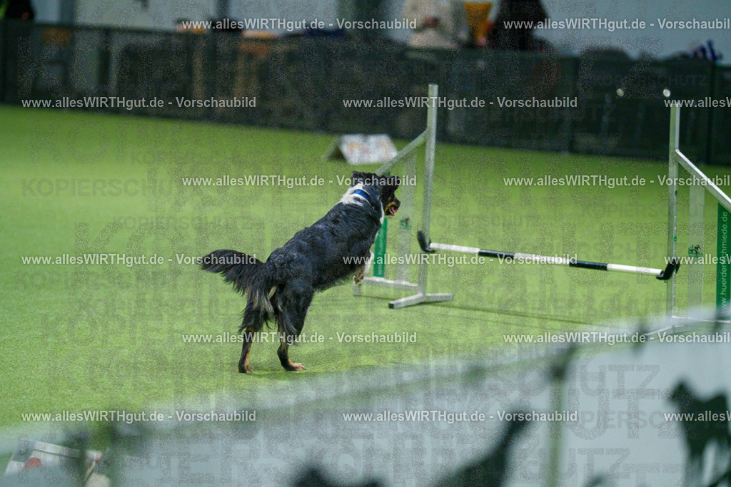 7R505379 | Professionelle Tierfotografie in Mönchengladbach von Daniel Wirth (allesWIRTHgut). Liebevolle & natürliche Bilder von Hunden & Katzen für unvergessliche Erinnerungen.