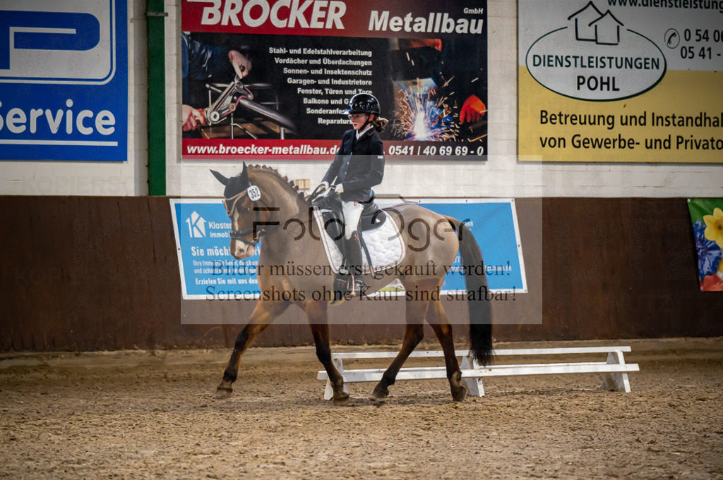 Hallenreittunier Voxtrup 2023 | Entdecke hochwertige Reitturnierfotos von Foto Oger. Professionell, emotional und authentisch – jetzt Lieblingsmomente im Shop bestellen.Deutschlandweite Turnierfotografie. - Realisiert mit Pictrs.com
