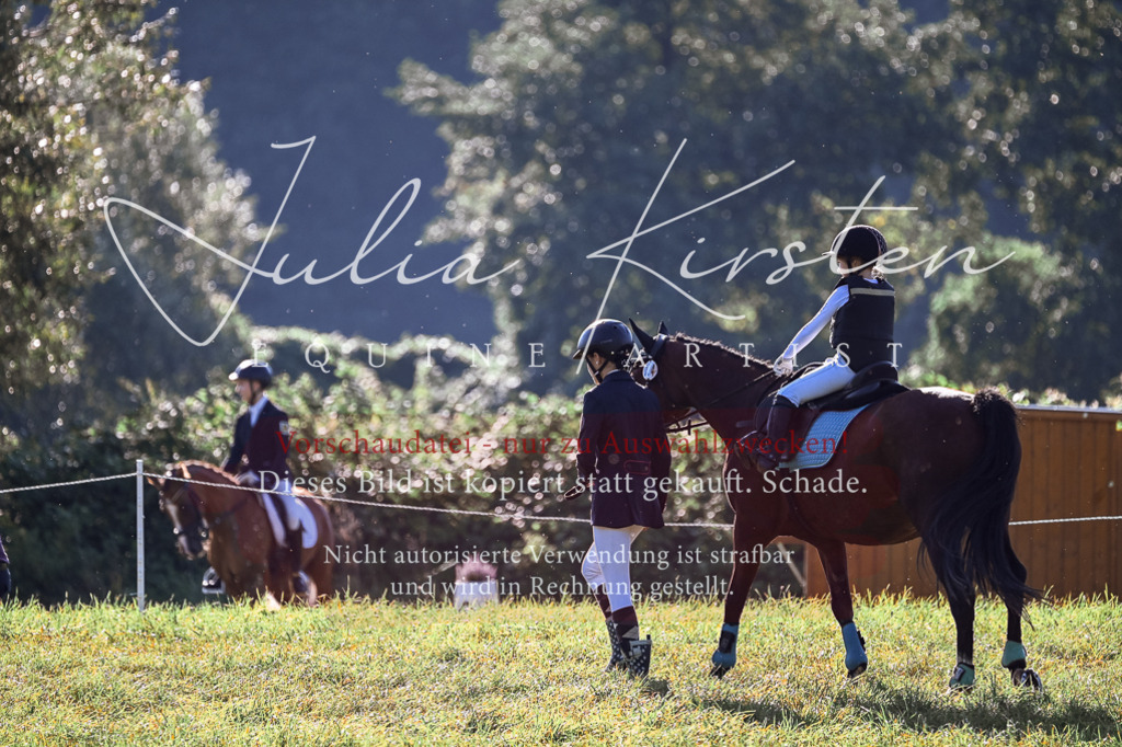 DSC_0278 | Pferde- und Turnierfotografie in Westsachsen. Pferdeportraits, Auftragszeichnungen und intuitive Kunst.