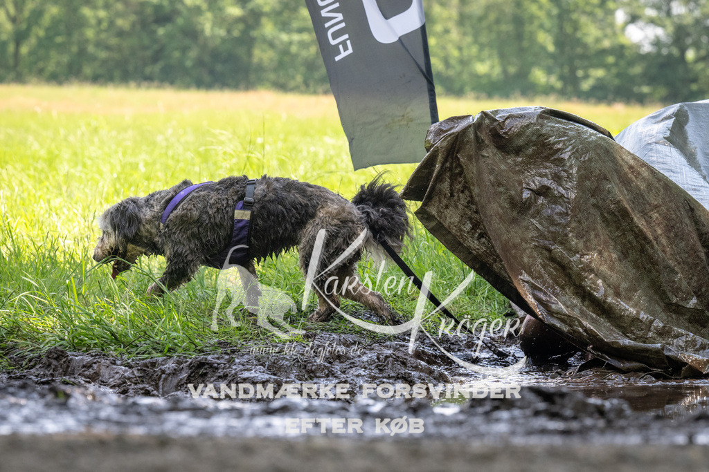 1200_ZZ90928 | kk-dogfotos