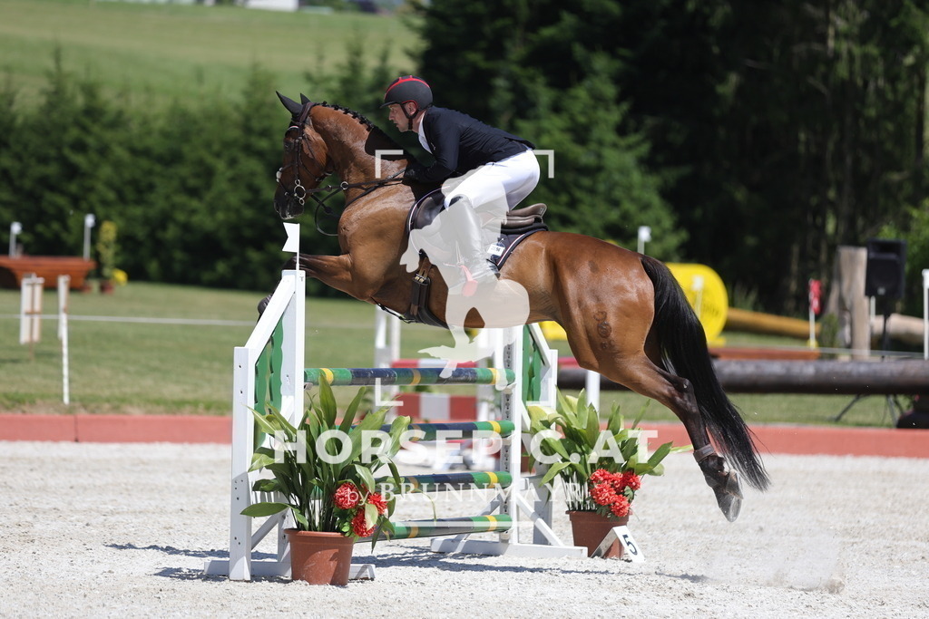 0P6A9737 | Willkommen bei Brunnmayr - Design & Fotografie – Ihrem Spezialisten für Reitturniere und Pferdeveranstaltungen in Oberösterreich, Salzburg und Bayern! Seit über 17 Jahren sind wir leidenschaftlich dabei.