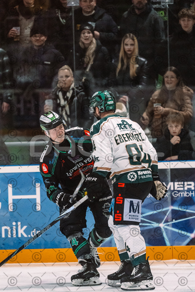Alligators_vs_Erding_12_12_2025-172 | Höchstadt Alligators Fotogalerie: Eishockey-Action aus Franken. Professionelle Spielfotos, Portraits & Stadionbilder zum Download. Jetzt entdecken! - Realized with Pictrs.com