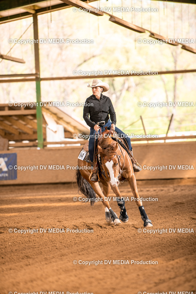 Balingen Tag 5-770 | dv-media-shop - Realisiert mit Pictrs.com