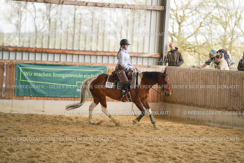 DSC08873 | Pferdegrafie