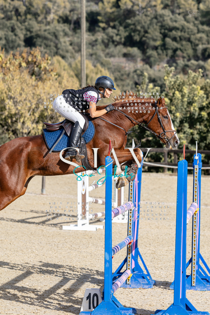 IMG_0171 | s-jay-photography - Realisiert mit Pictrs.com