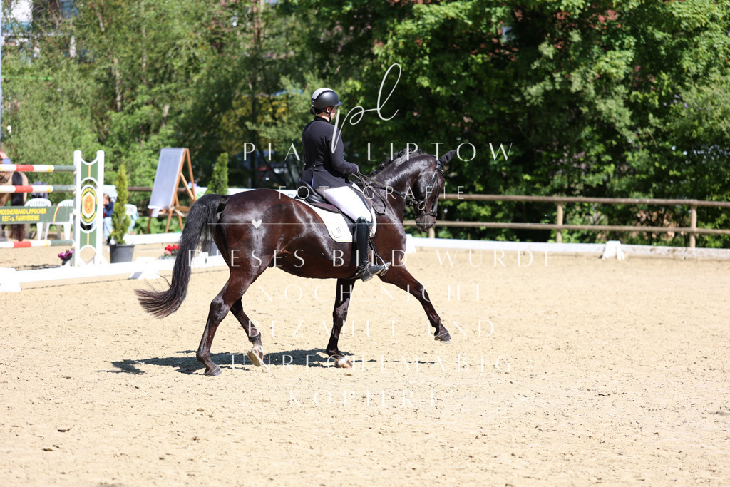 IMGS0842 | pl-fotografie