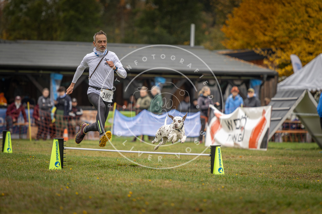 Pfotenfotografie_DV3A1822 | Hundefotografie, Tierfotograf, Pfotenfotografie, Fotoshooting Hund, Hunde Portrait, Hundesport, Hundeportraits, Heideshooting, Hunde, Sportfotograf, Hundefotograf, Turnierhundsport, THS,  - Realisiert mit Pictrs.com