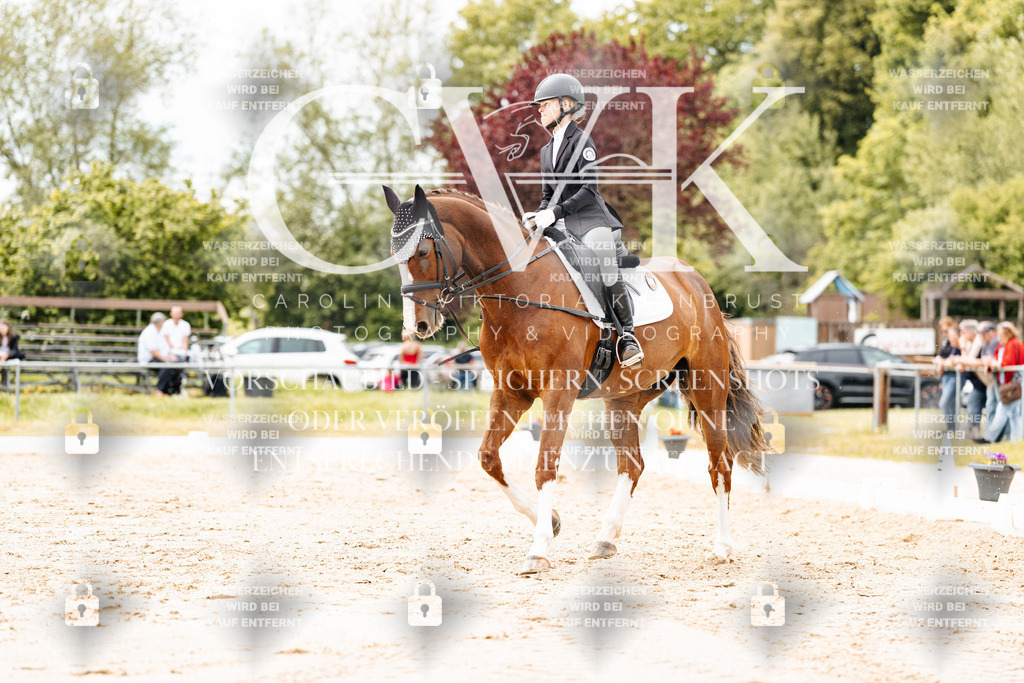 CK903007 | Turnierfotografie Pferdefotografie Trier Rheinland-Pfalz Pferdesport Reitsport Tierfotografie Sportfotografie Pferdevideo Pferdevideografie Equestrianvideography equestrianphotography  - Realisiert mit Pictrs.com