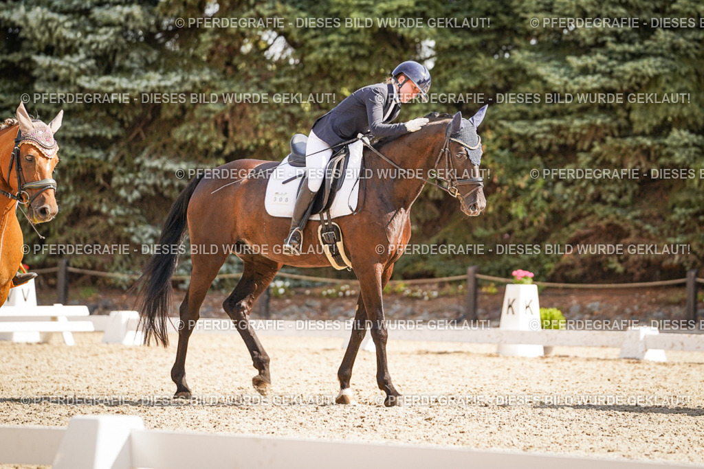 DSC00825 | Pferdegrafie