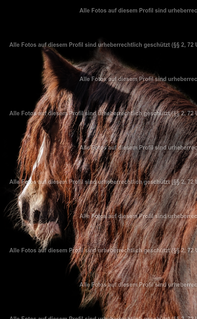 1727618484511 | krollfotografie - Realisiert mit Pictrs.com