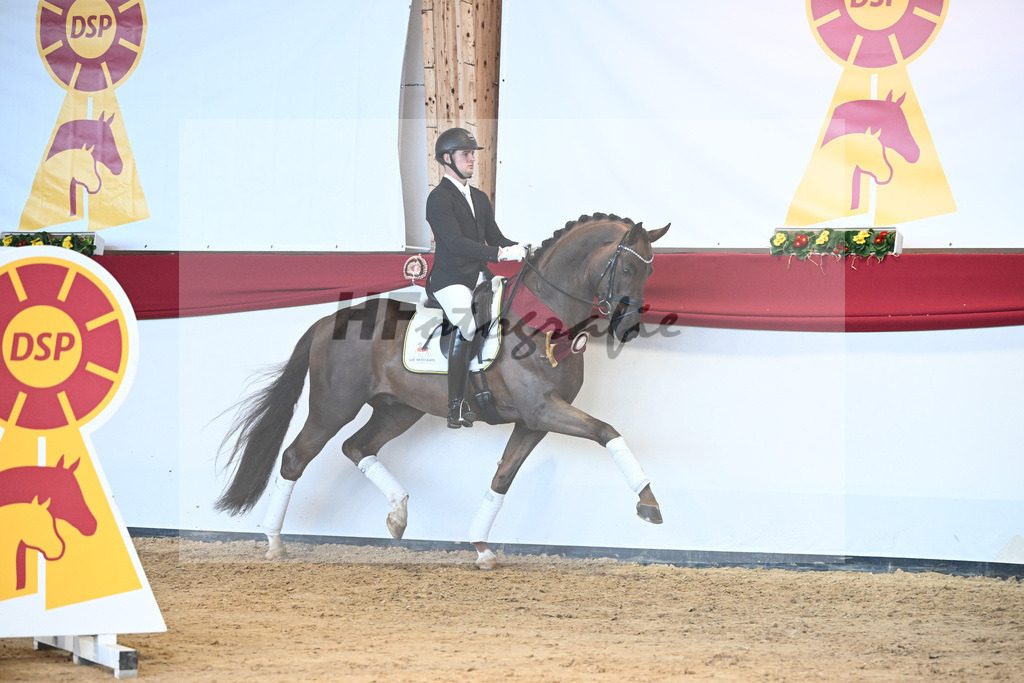 Feliciano_2243123 | hf-fotografie - Realisiert mit Pictrs.com