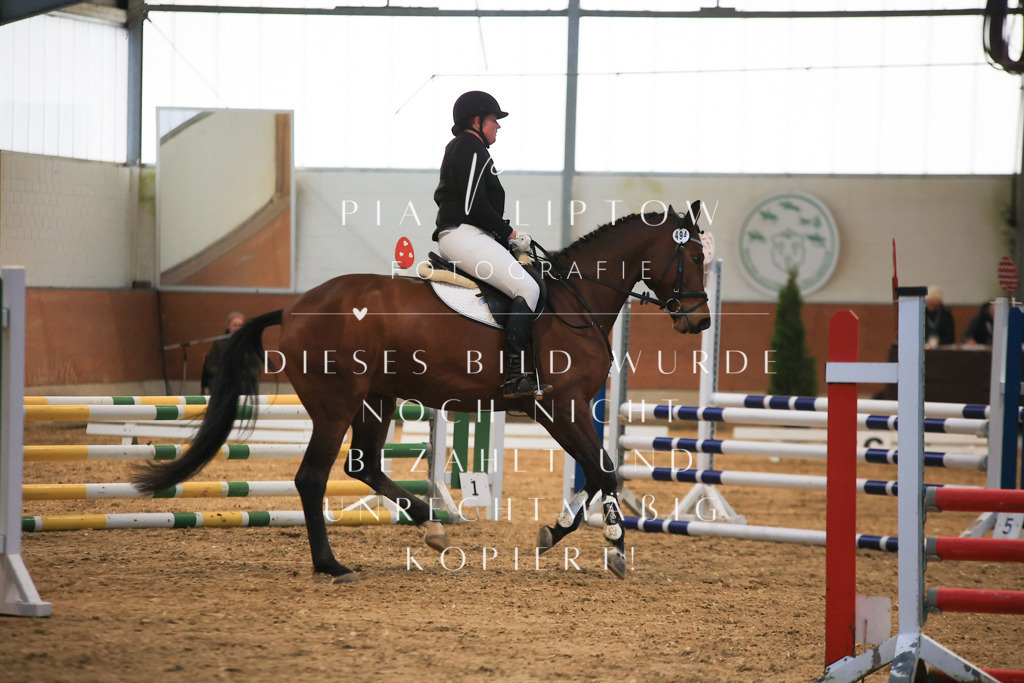 IMGT1674 - Kopie | pl-fotografie