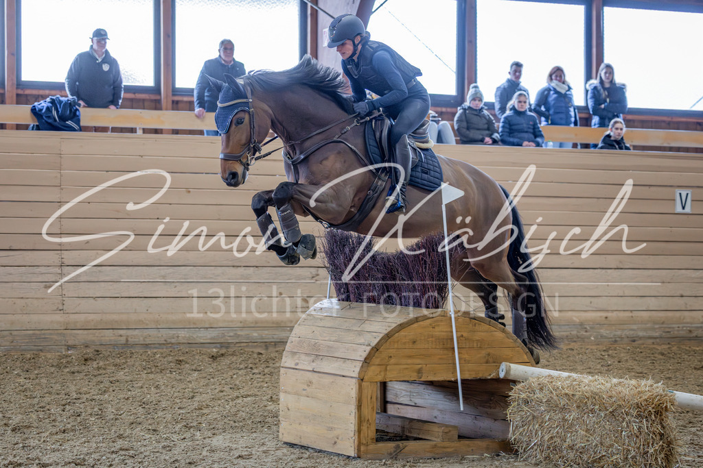 20260222-_3LI2441 | Tierfotografie Pferde, Hunde, Katzen, Haustiere.
Turnierfotografie Reitturniere, Reiten, Springreiten, Dressur in Hanau, dem Main-Kinzig-Kreis und dem Rhein-Main- Gebiet um Frankfurt