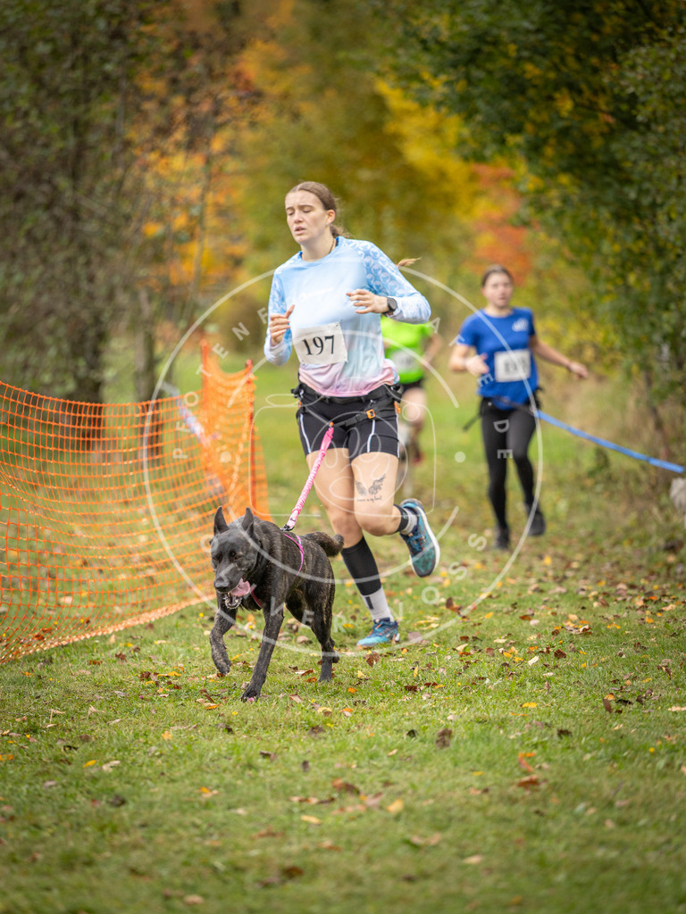 Pfotenfotografie_DV3A3888 | Hundefotografie, Tierfotograf, Pfotenfotografie, Fotoshooting Hund, Hunde Portrait, Hundesport, Hundeportraits, Heideshooting, Hunde, Sportfotograf, Hundefotograf, Turnierhundsport, THS,  - Realisiert mit Pictrs.com