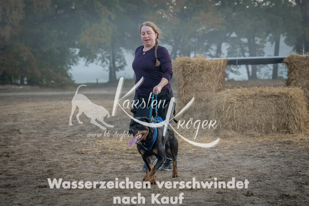 0819_ZZ97773 | kk-dogfotos