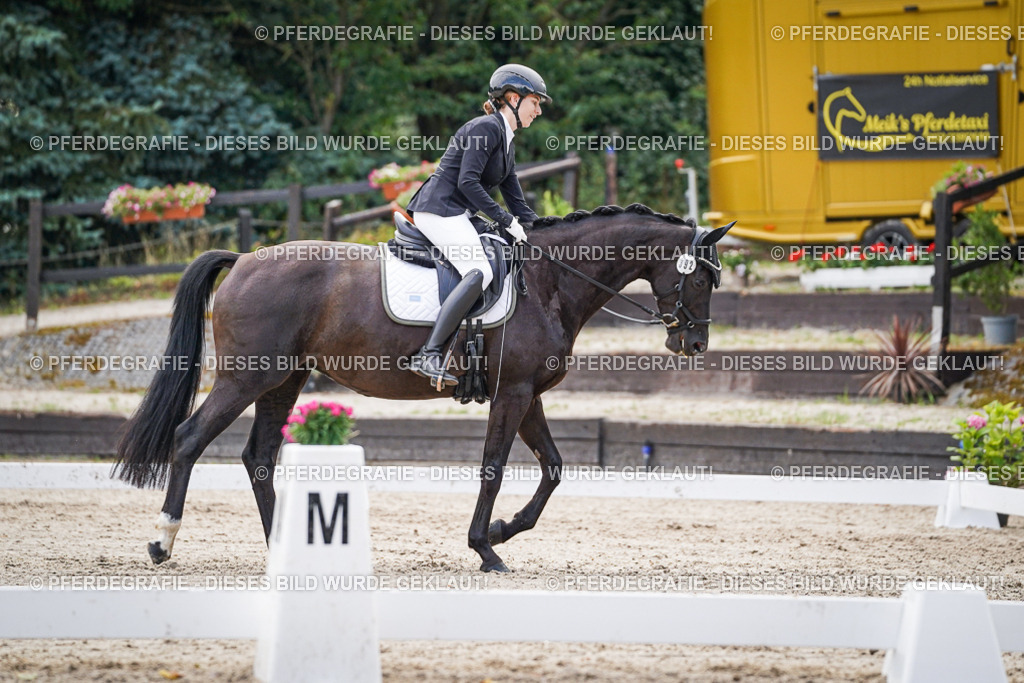 DSC00560 | Pferdegrafie