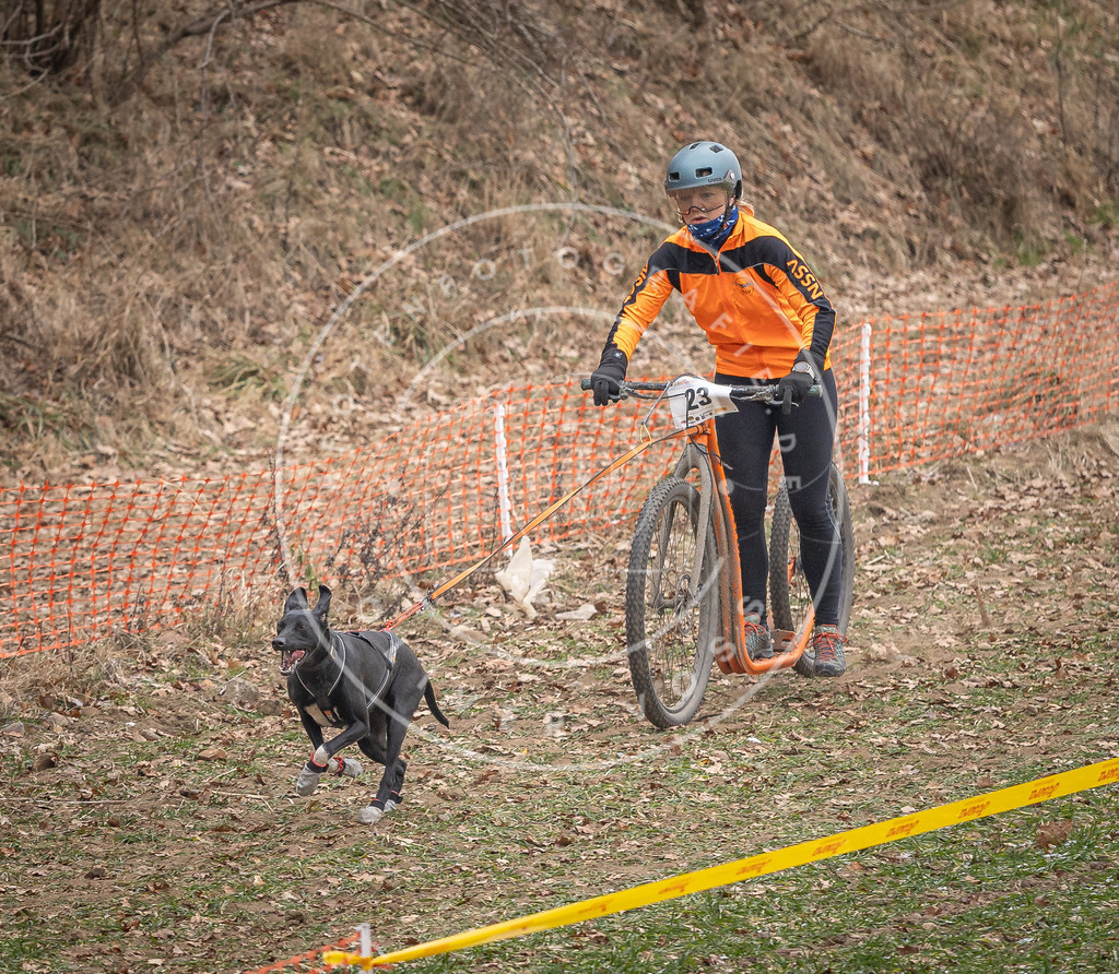 Pfotenfotografie_DV3A7234 | Hundefotografie, Tierfotograf, Pfotenfotografie, Fotoshooting Hund, Hunde Portrait, Hundesport, Hundeportraits, Heideshooting, Hunde, Sportfotograf, Hundefotograf, Turnierhundsport, THS,  - Realisiert mit Pictrs.com
