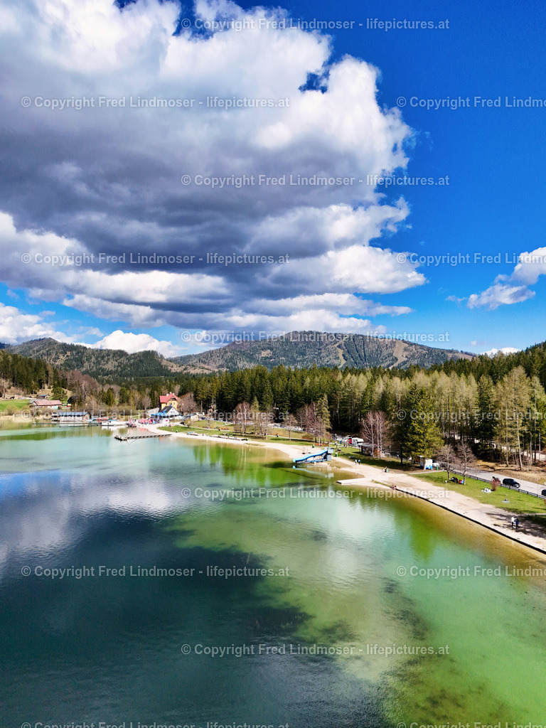 Erlaufsee_19042025_1745069550542_photo | default - Realisiert mit Pictrs.com