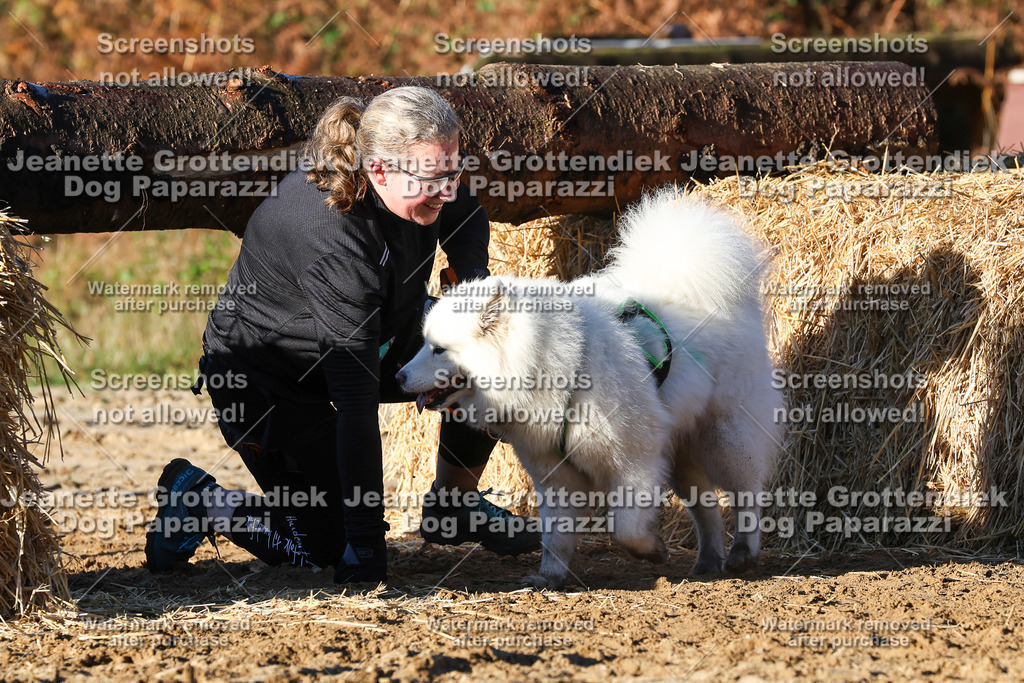 Dog Paparazzi - Strongdog 10-25-1210 | Dog Paparazzi Jeanette Grottendiek Fotografie & Videografie - Realisiert mit Pictrs.com