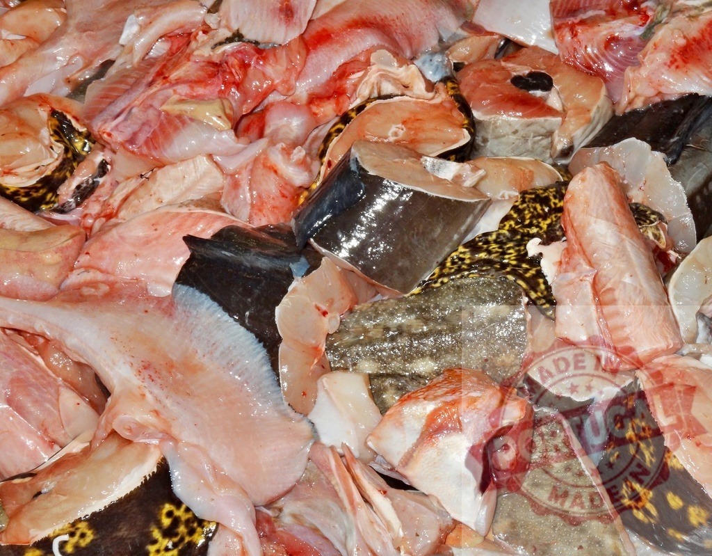 Raw fish pieces and fillets displaying fresh seafood catch | Raw fish pieces and fillets creating a full frame background texture - Realisiert mit Pictrs.com