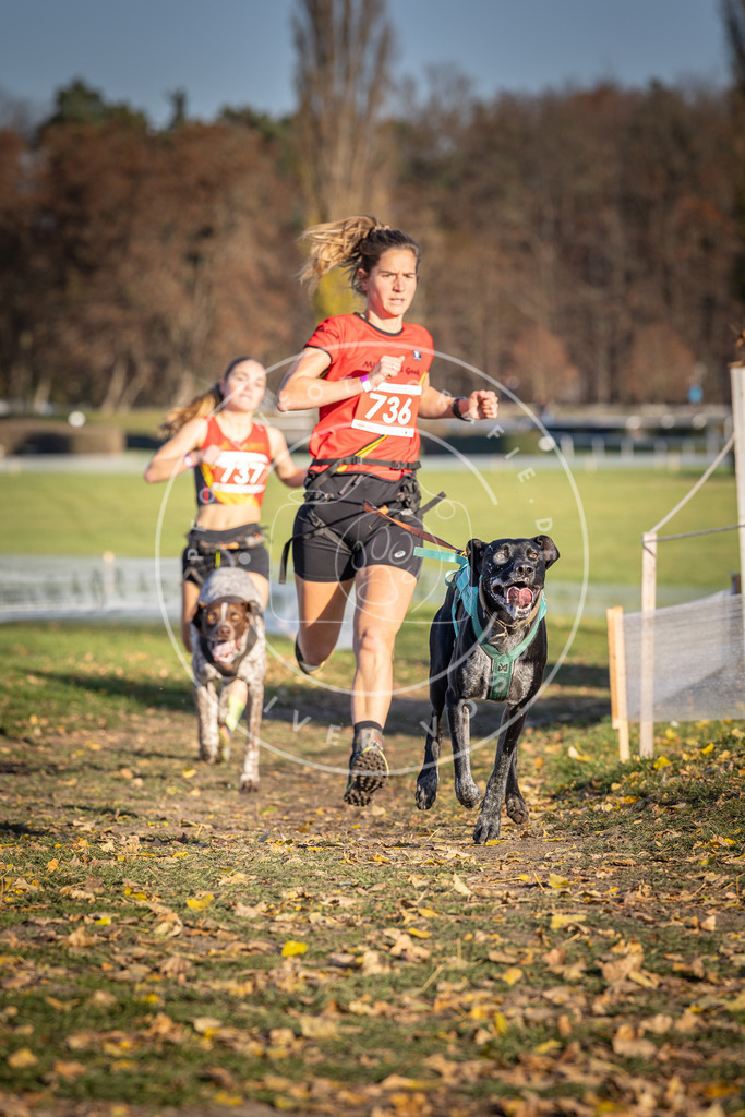 CaniXpix_DV3A2149 | Hundefotografie, Tierfotograf, Pfotenfotografie, Fotoshooting Hund, Hunde Portrait, Hundesport, Hundeportraits, Heideshooting, Hunde, Sportfotograf, Hundefotograf, Turnierhundsport, THS,  - Realisiert mit Pictrs.com