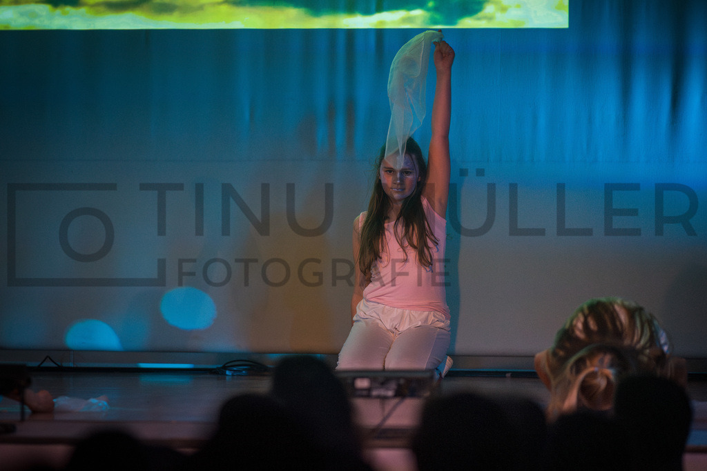 _DSC2221-Verbessert-RR | Tinu Müller Fotografie- Bildershop - Realisiert mit Pictrs.com