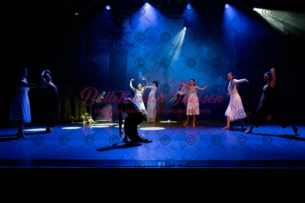 Ballettaufführung-153 | Bildershop Lem'n Entertainment - Realisiert mit Pictrs.com