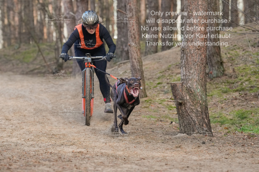 Scooter2-31 | stephaniefillaphotographie - Realisiert mit Pictrs.com