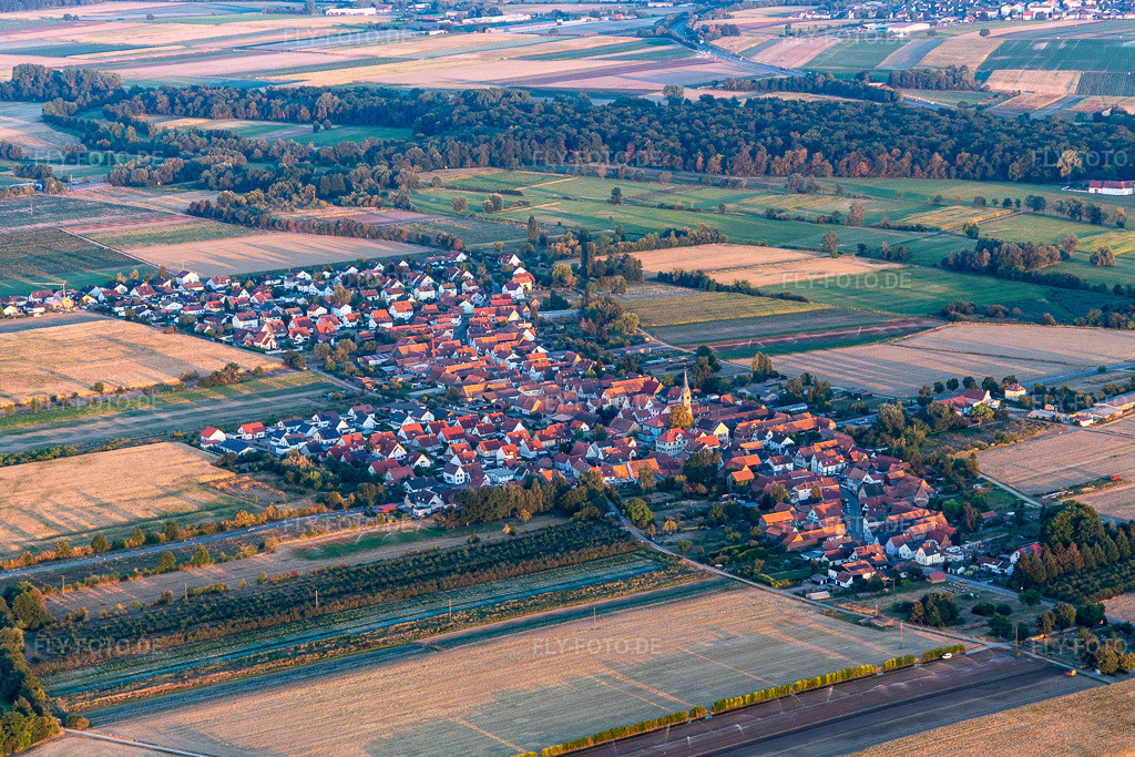 Luftbild:  in Erlenbach bei Kandel im Bundesland Rheinland-Pfalz in Deutschland. Foto: IMG_133864.jpg vom 16.08.2022 durch Werner Riehm/FLY-FOTO.deOrtsgemeinde Erlenbach - auf der Internetpräsenz der Ortsgemeinde Erlenbach bei Kandel
