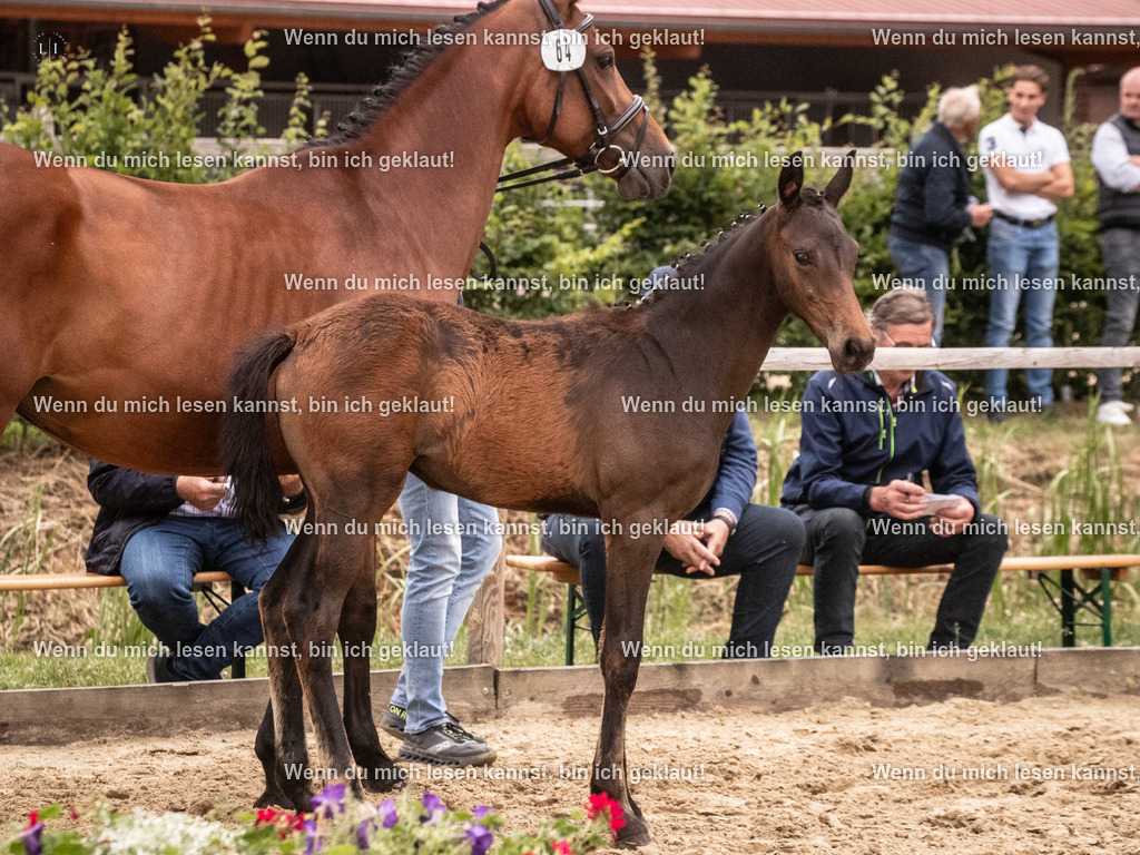 A10I6609 | photographylinaismer - Realisiert mit Pictrs.com