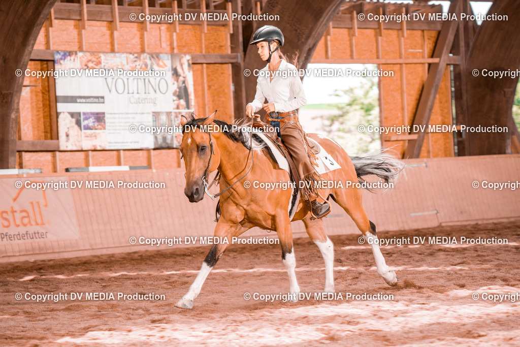 NE200665 | dv-media-shop - Realisiert mit Pictrs.com