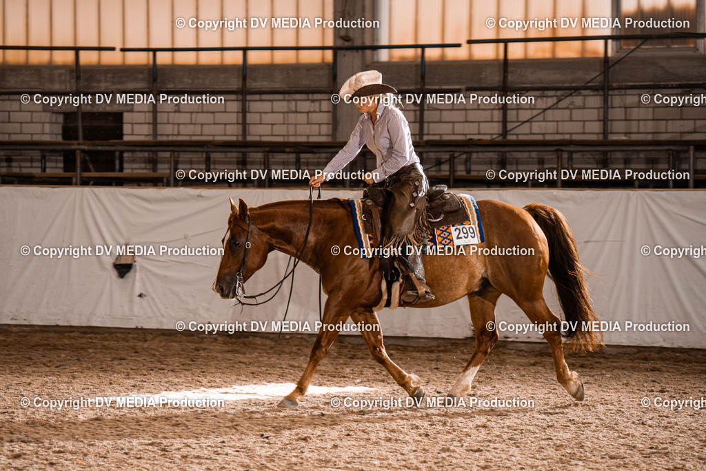 ZH300488 | dv-media-shop - Realisiert mit Pictrs.com