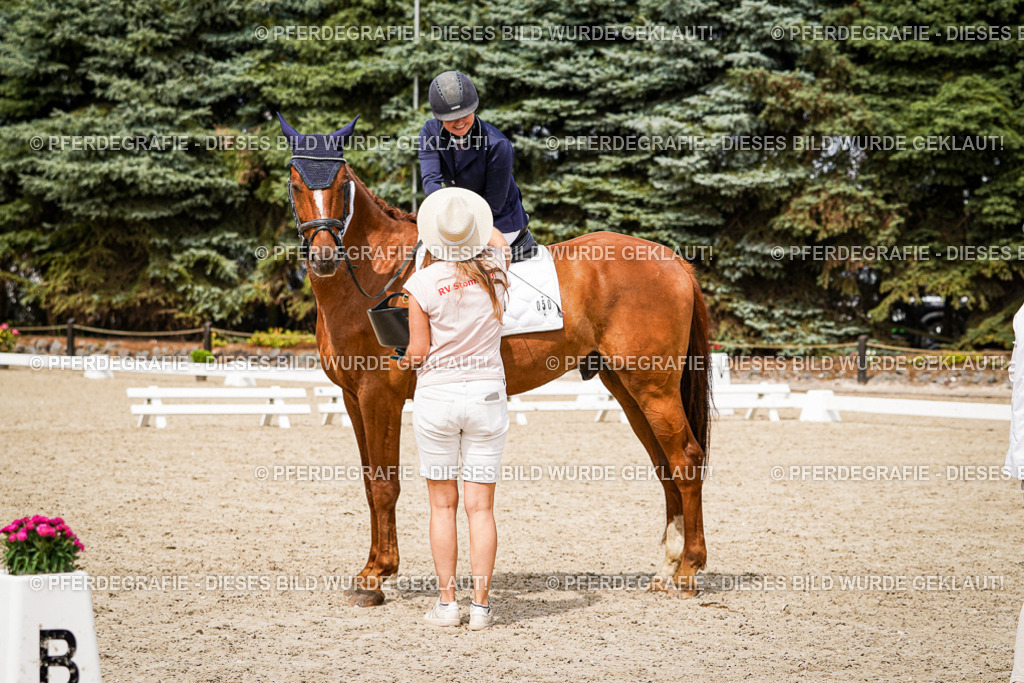 DSC04523 | Pferdegrafie