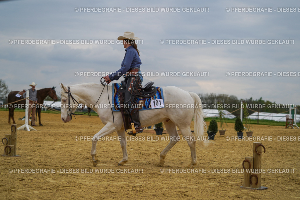 DSC07469 | Pferdegrafie