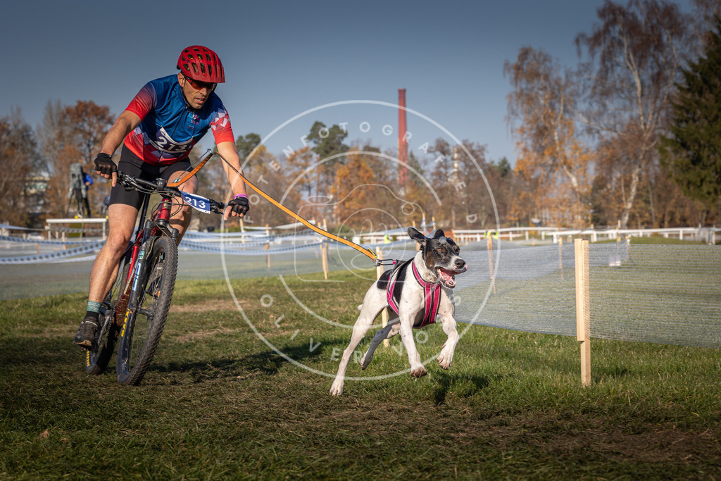 CaniXpix_0L8A6542 | Hundefotografie, Tierfotograf, Pfotenfotografie, Fotoshooting Hund, Hunde Portrait, Hundesport, Hundeportraits, Heideshooting, Hunde, Sportfotograf, Hundefotograf, Turnierhundsport, THS,  - Realisiert mit Pictrs.com