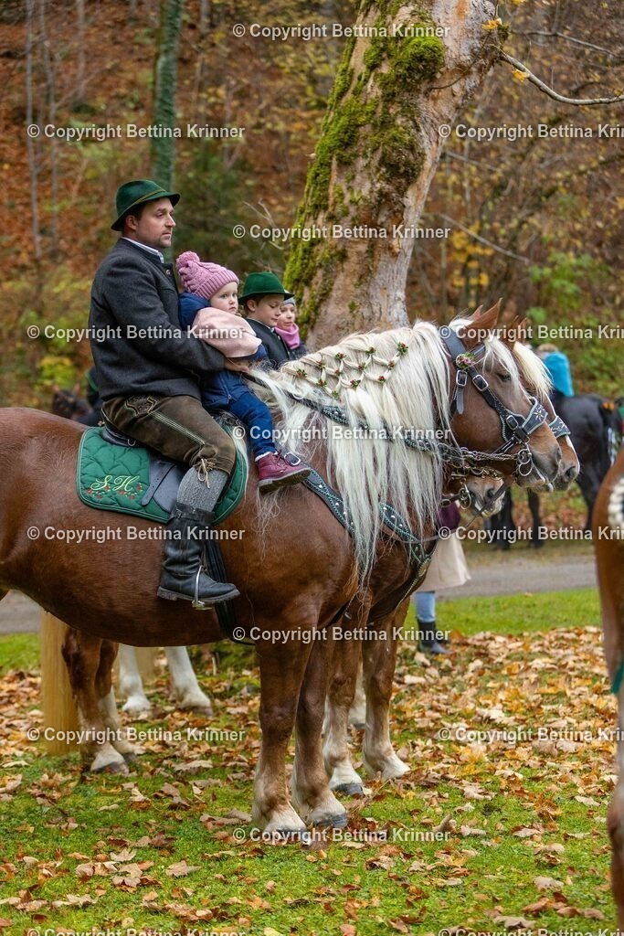 LL25-170 | foto-bettina-krinner - Realisiert mit Pictrs.com