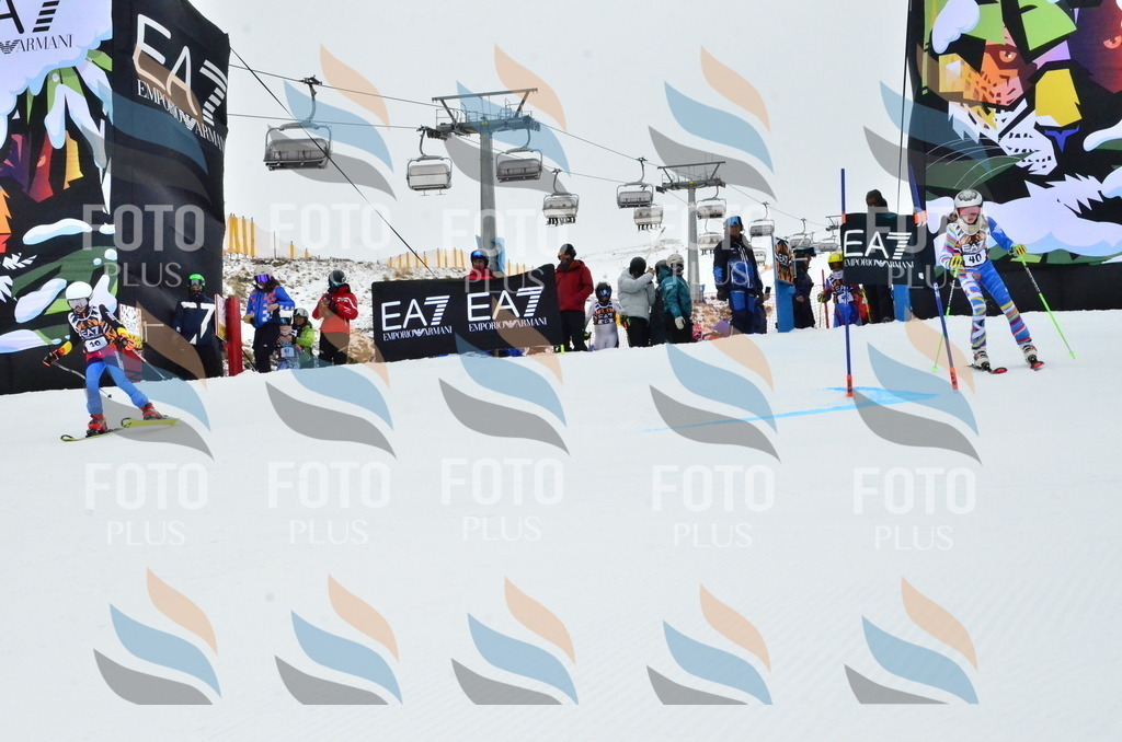 _ELE3325 | holidayphoto