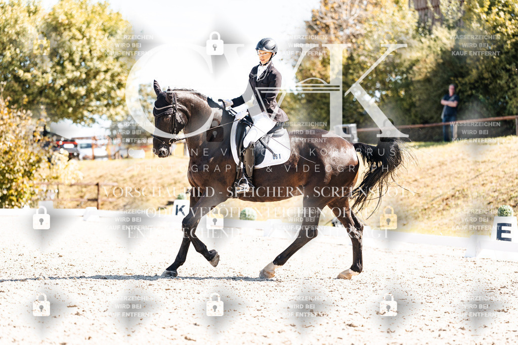 CK909863 | Turnierfotografie Pferdefotografie Trier Rheinland-Pfalz Pferdesport Reitsport Tierfotografie Sportfotografie Pferdevideo Pferdevideografie Equestrianvideography equestrianphotography  - Realisiert mit Pictrs.com