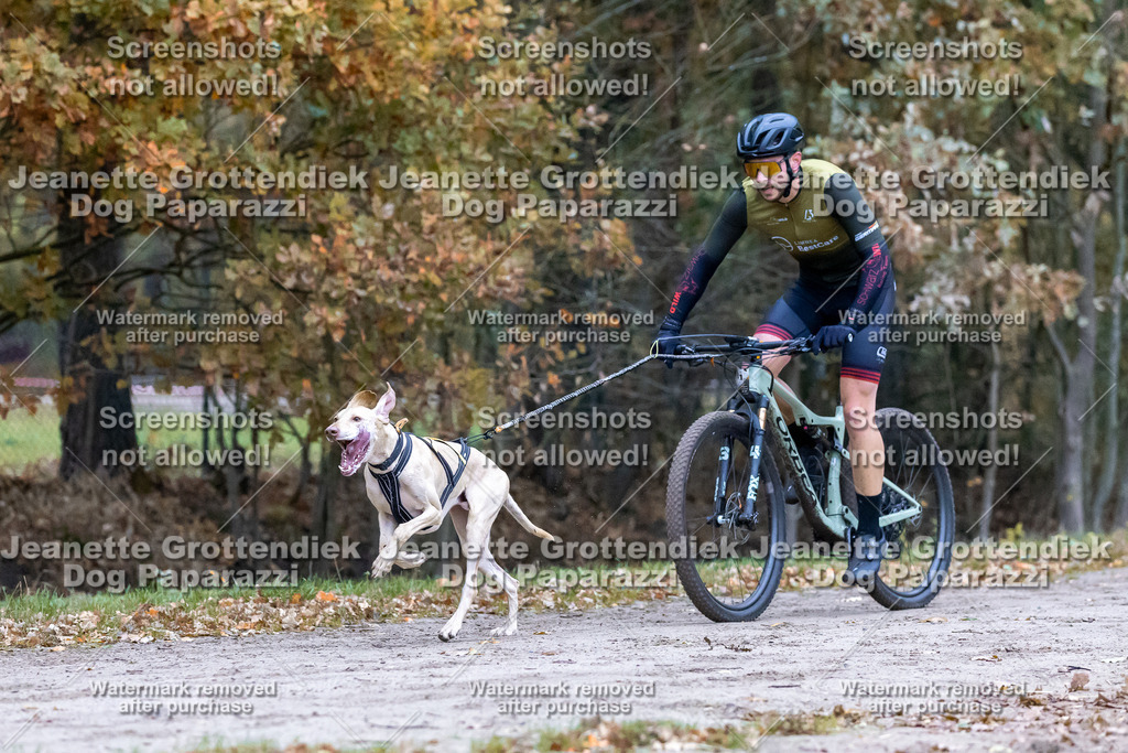 Dog Paparazzi - SD CaniX Championship 2025-53 | Dog Paparazzi Jeanette Grottendiek Fotografie & Videografie - Realisiert mit Pictrs.com