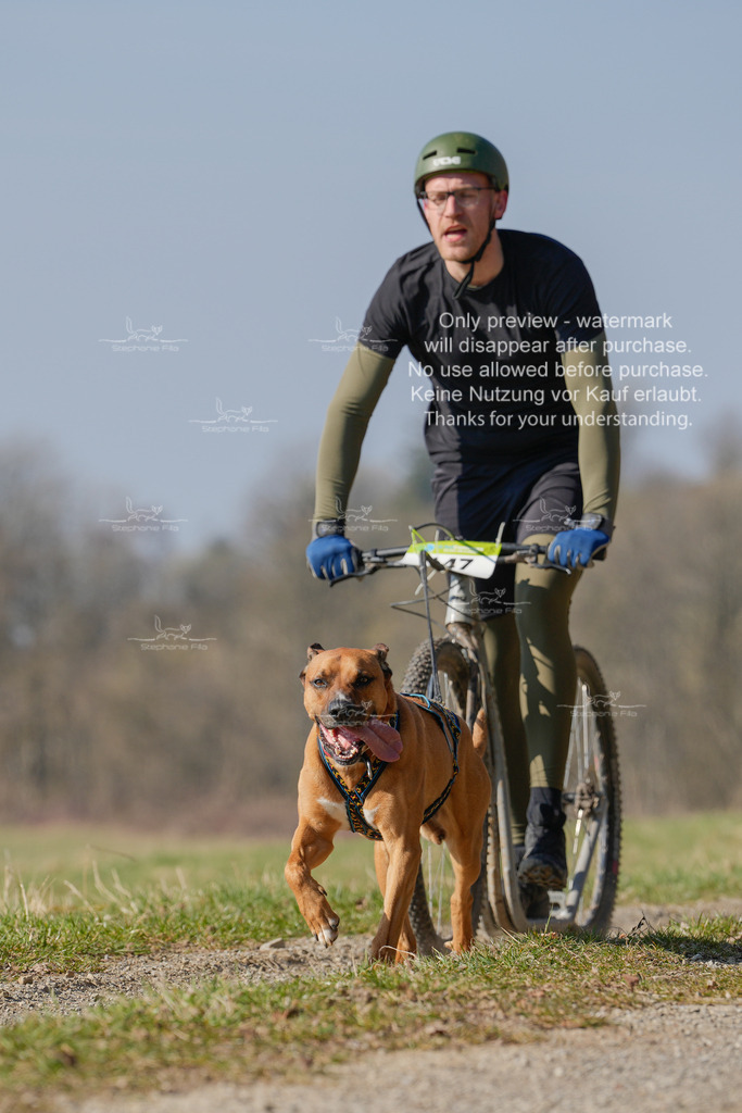Scooter_Lang-40 | stephaniefillaphotographie - Realisiert mit Pictrs.com