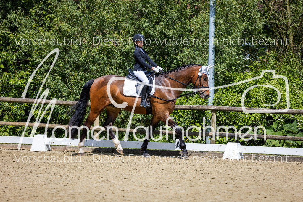 Donop24-RWB-038 | MomenTaufnahmen Pferdesportfotos