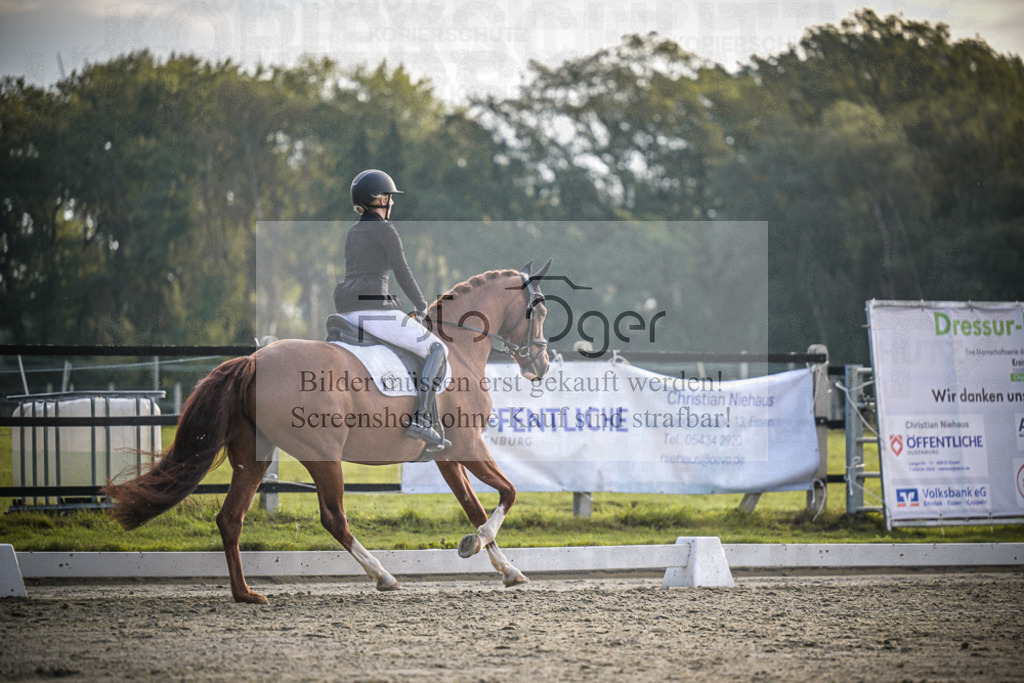 DOS_3611 | Entdecke hochwertige Reitturnierfotos von Foto Oger. Professionell, emotional und authentisch – jetzt Lieblingsmomente im Shop bestellen.Deutschlandweite Turnierfotografie. - Realisiert mit Pictrs.com